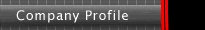 Company Profile
